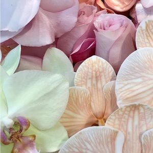 Meet your Posher, Clarke